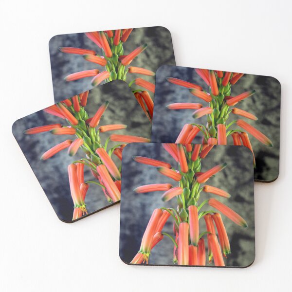 Item preview, Come Rain Or Come Dry designed and sold by Michael May.