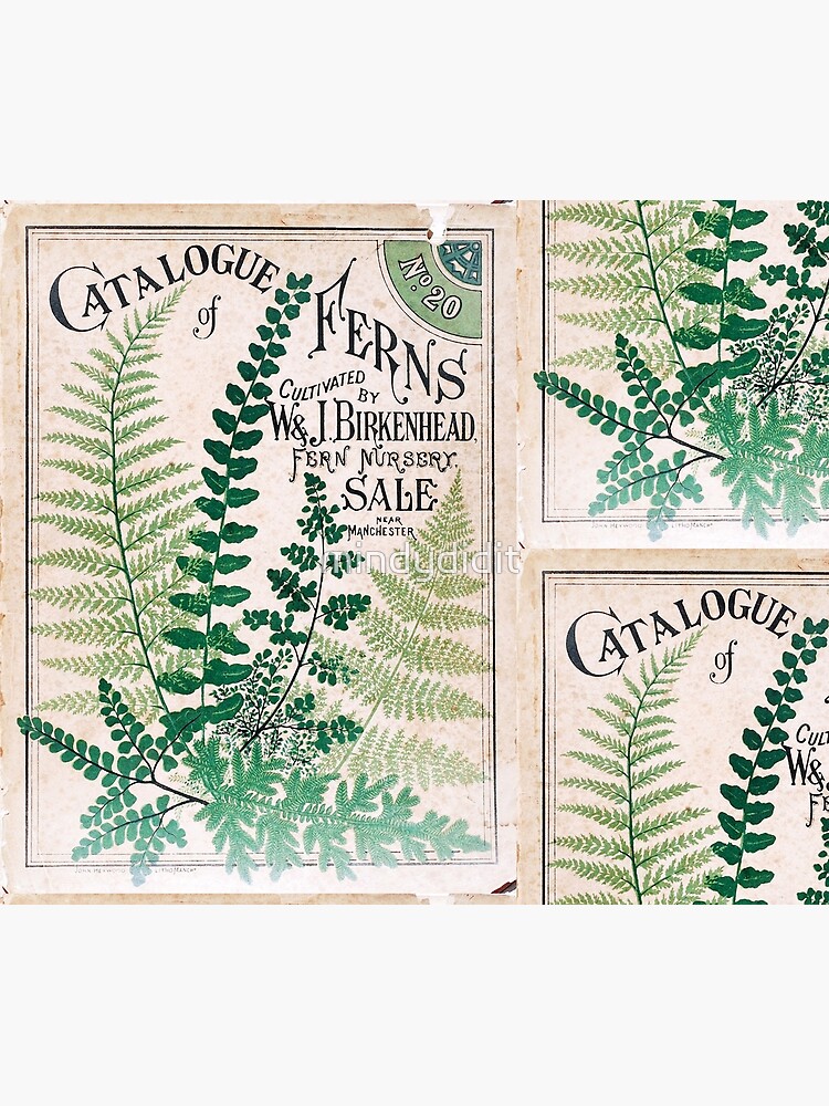 Vintage Botanical Ferns by mindydidit