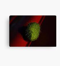 cucumber Canvas Print