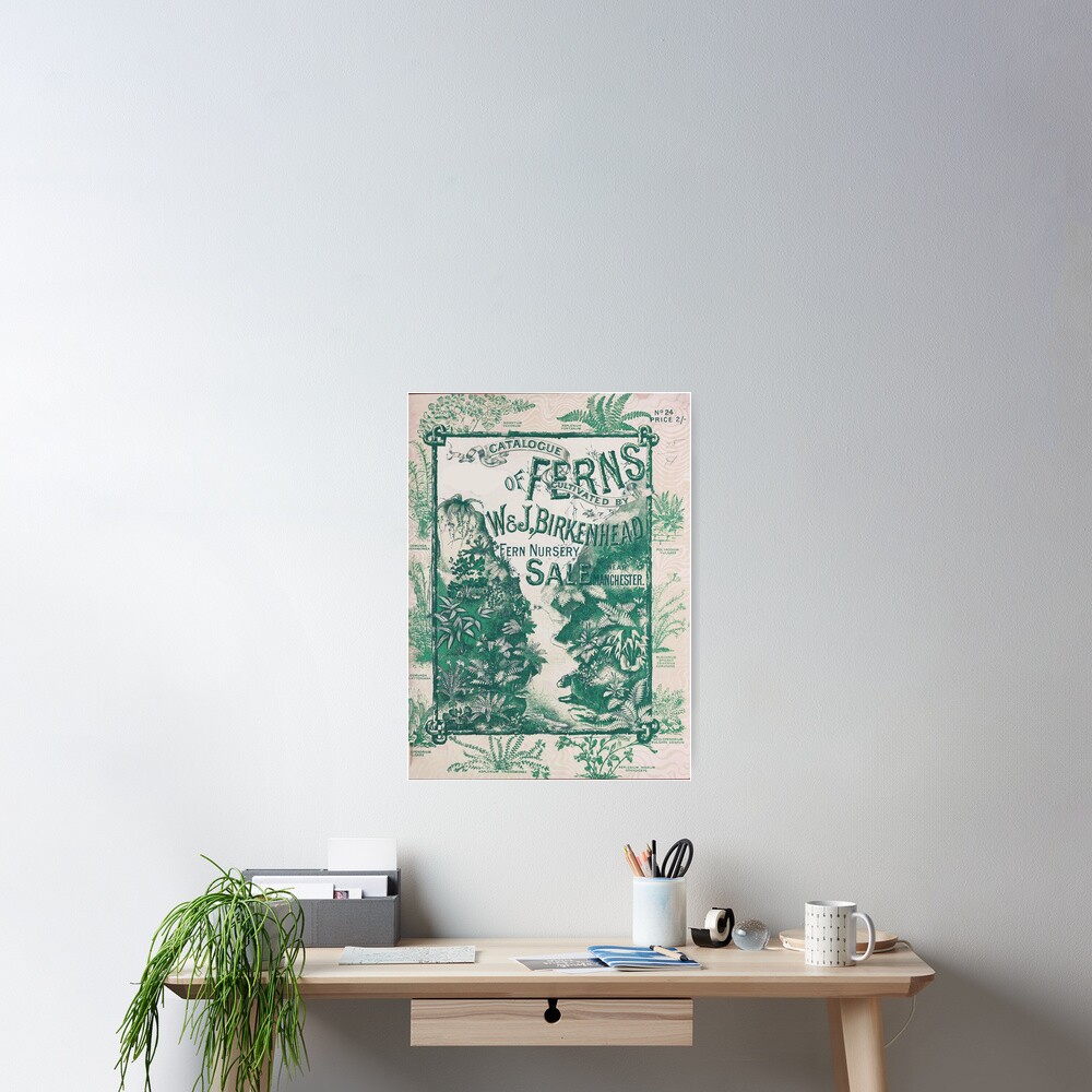 "Vintage Botanical Catalog Ferns" Poster by mindydidit Redbubble