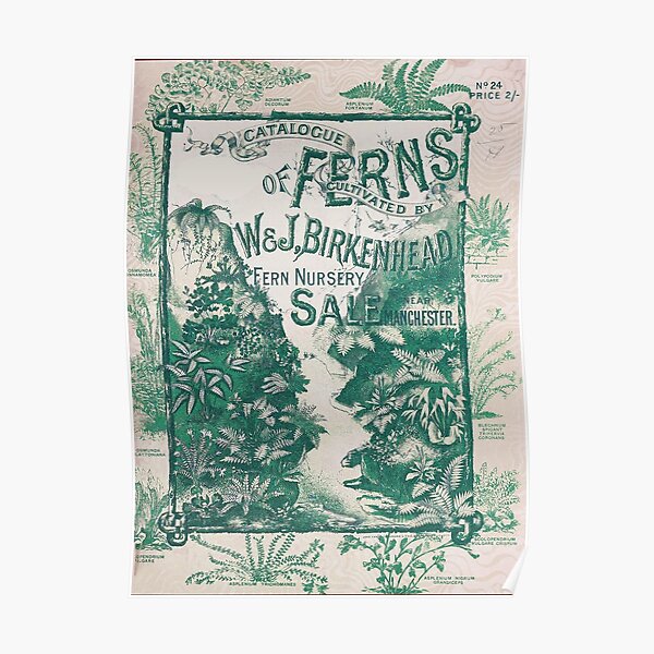 "Vintage Botanical Catalog Ferns" Poster by mindydidit Redbubble