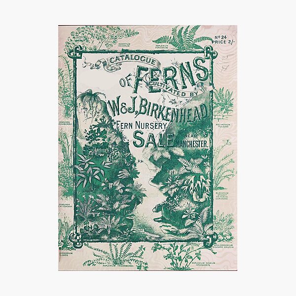 Item preview, Vintage Botanical Catalog Ferns designed and sold by Sasha Art Gallery.