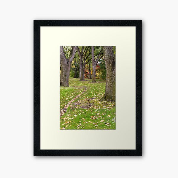 Path at Julia Davis Park Framed Art Print