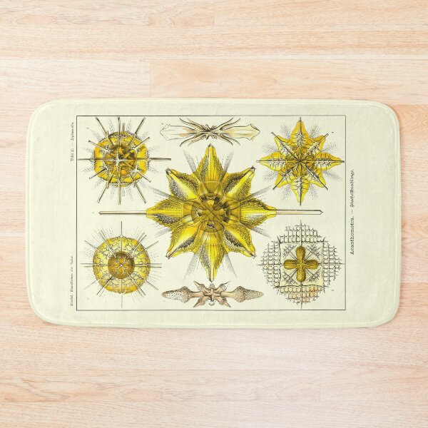 Item preview, Plate 21. Acanthometra, amoeboid protozoans. designed and sold by Squirrox.
