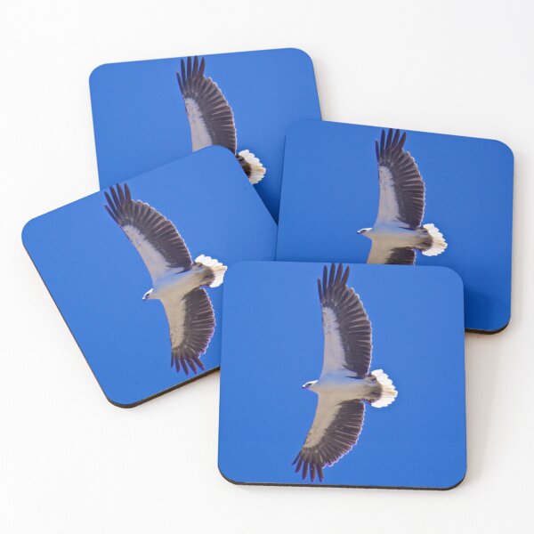 Item preview, RAPTOR ~ White-bellied Sea-Eagle 94J3265Y by David Irwin ~ WO designed and sold by tasmanianartist.