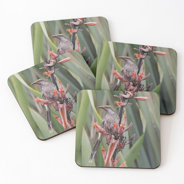 Item preview, HONEYEATER ~ Little Wattlebird tyz8oCTF by David Irwin designed and sold by tasmanianartist.