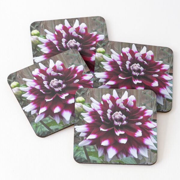 Item preview, A Glory of a Flower designed and sold by SunriseRose.