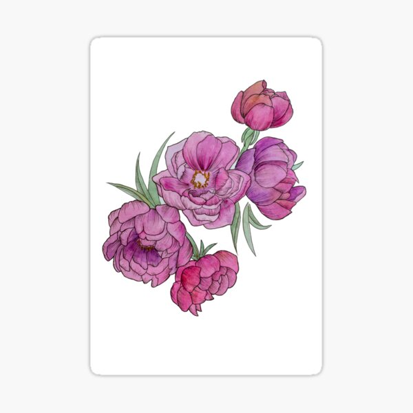 Peonies in Pink and Ink Sticker