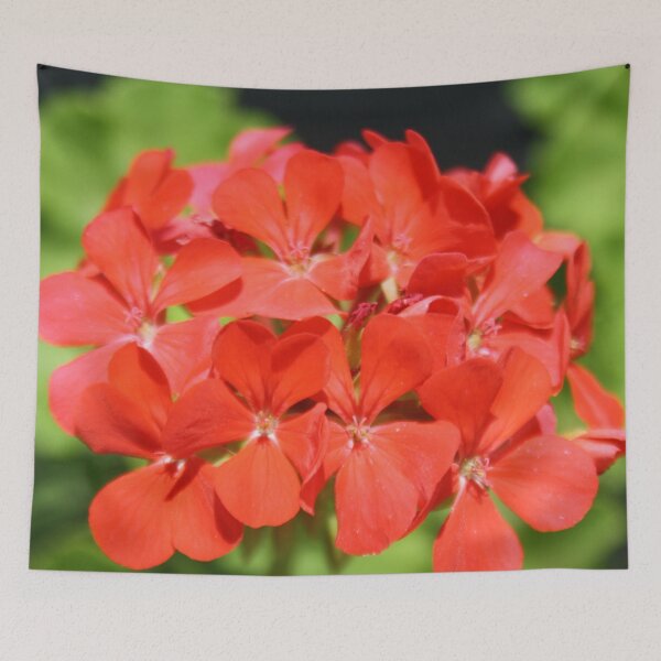 Item preview, Red Geranium Pelargonium hortorum designed and sold by taiche.