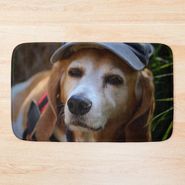 Item preview, Beagle, dog ~ spur nose ~ designed and sold by laura-S.