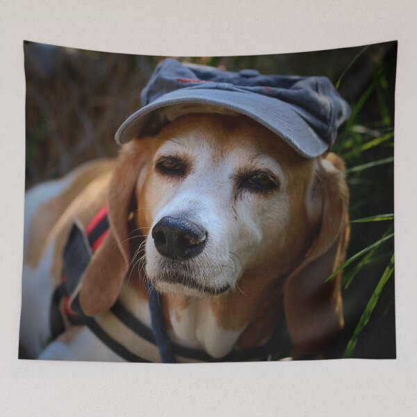 Item preview, Beagle, dog ~ spur nose ~ designed and sold by laura-S.