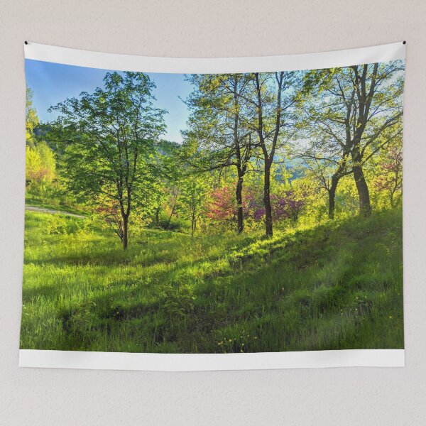 Item preview, Forest in Italy designed and sold by eliza-beth-.