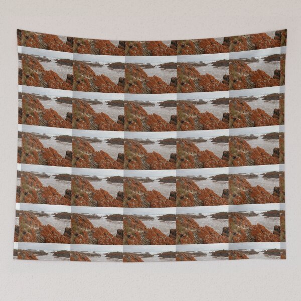 Item preview, Red Lichen on Rocks, Arthur River, Tasmania, Australia. designed and sold by kaysharp.