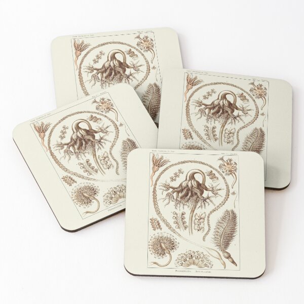 Item preview, Plate 19. Sea Pens, long slender colonial organisms related to jellyfish. designed and sold by Squirrox.