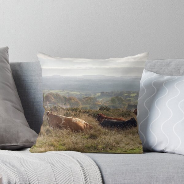 Item preview, Clee, Shropshire designed and sold by andrewroland.