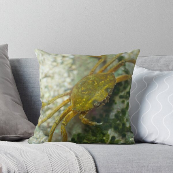 Item preview, Carcinus Maenas Crab designed and sold by Inimma.