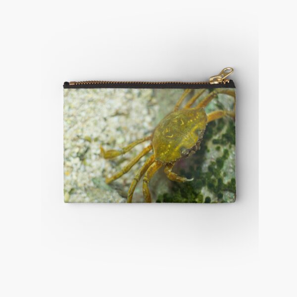 Item preview, Carcinus Maenas Crab designed and sold by Inimma.