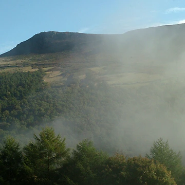 Artwork thumbnail, Misty Valley by Rees Adams