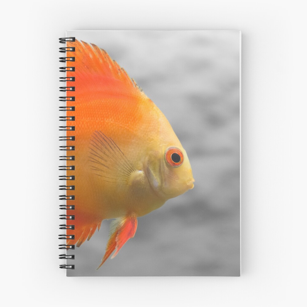 Item preview, Spiral Notebook designed and sold by Inimma.