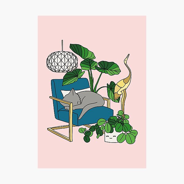 Cat nap by Elebea Photographic Print