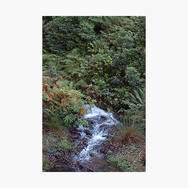 Item preview, Small waterfall at Derwent Reservoir designed and sold by Rees Adams.