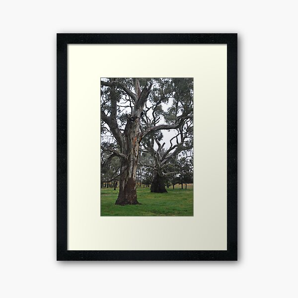 Item preview, Branches of Graceful Peace designed and sold by Lorraine McCarthy.