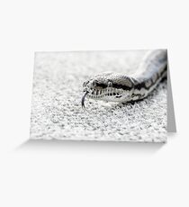 Trousers Greeting Card