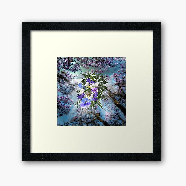 Jacaranda Blooms Framed Art Print