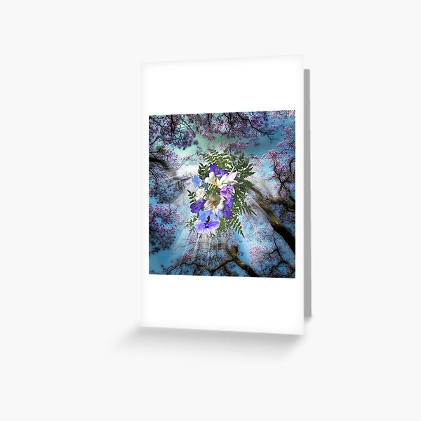 Jacaranda Blooms Greeting Card