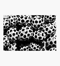 Dalmation Fotodruck