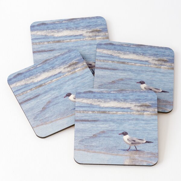 Item preview, AC.NJ Seagull designed and sold by brunoanjoloart.