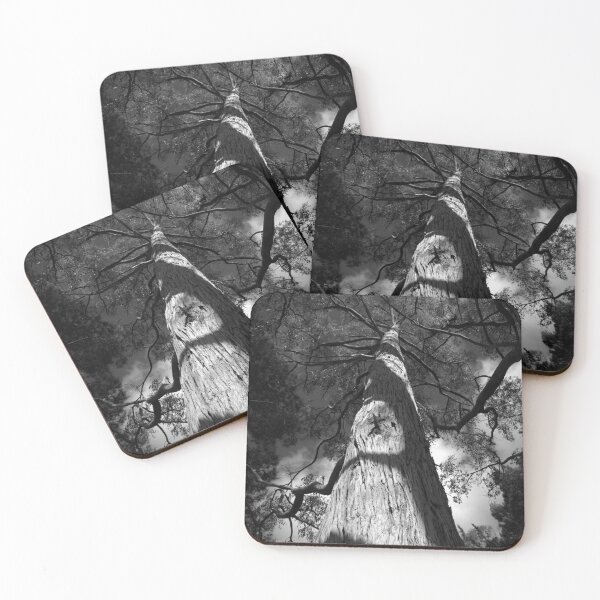 Item preview, Scary Tree- Stringy Bark, Mount Lofty Botanic Gardens designed and sold by Ben Loveday.