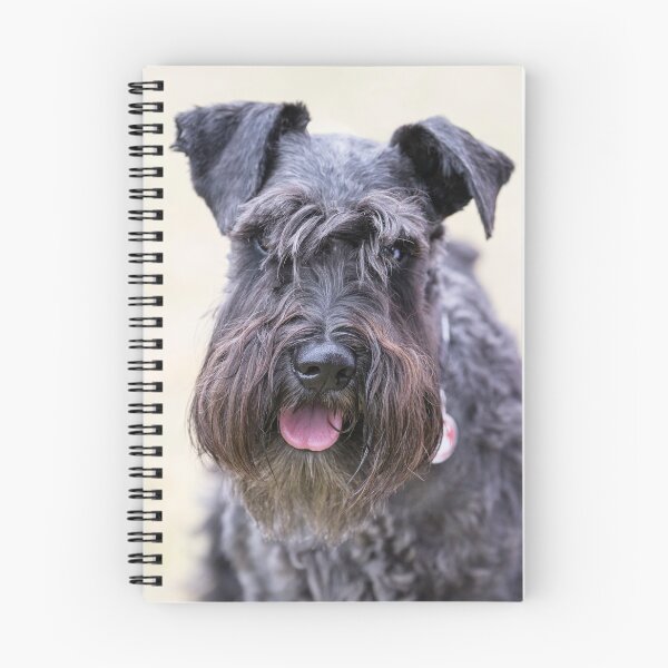 Item preview, Black Miniature Schnauzer designed and sold by Geoff Carpenter.