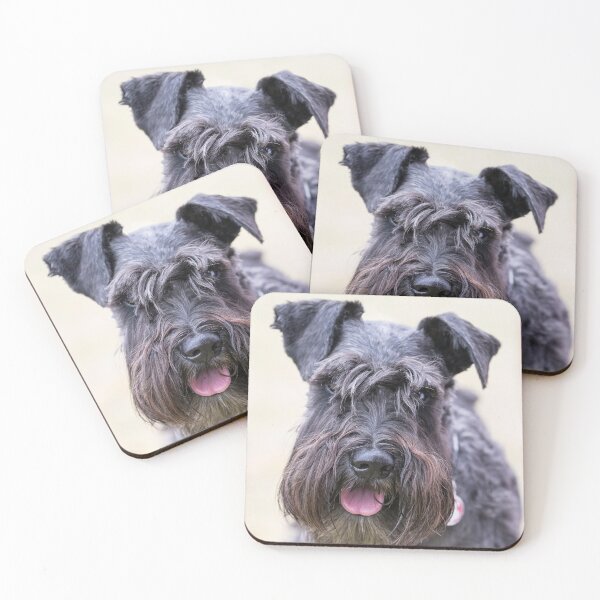 Item preview, Black Miniature Schnauzer designed and sold by Geoff Carpenter.