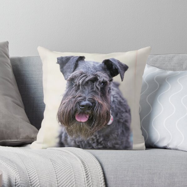 Throw Pillows By Marley Ungaro Giant Schnauzer Aqua