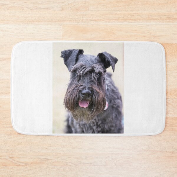 Item preview, Black Miniature Schnauzer designed and sold by Geoff Carpenter.