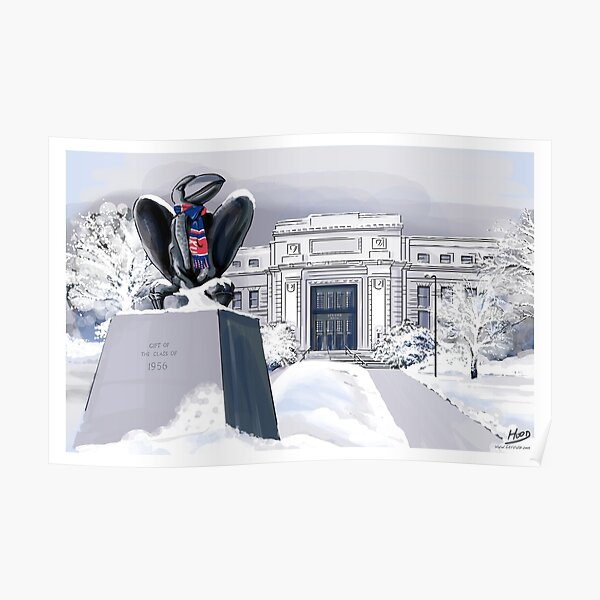 Snowy Hawk Poster