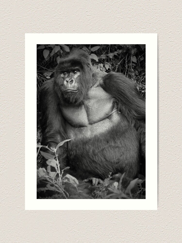 Alternate view of Silverback Art Print