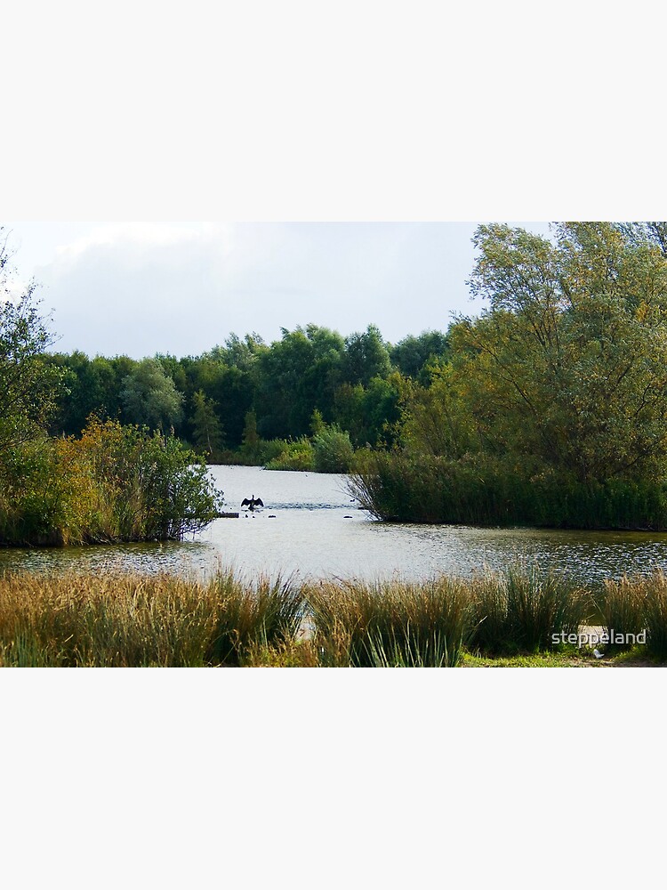 Thumbnail 2 of 2, Greeting Card, Great Cormorant's Autumn Stadium designed and sold by steppeland.