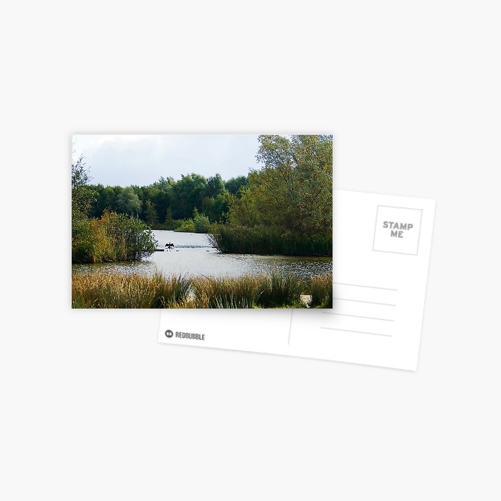 Item preview, Postcard designed and sold by steppeland.