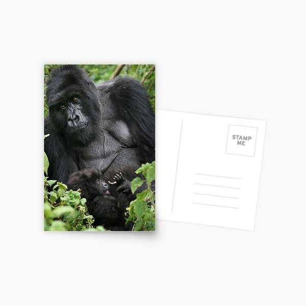 Proud Mum Postcard