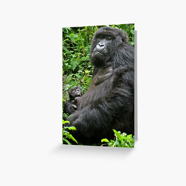 Gorilla Momma Greeting Card
