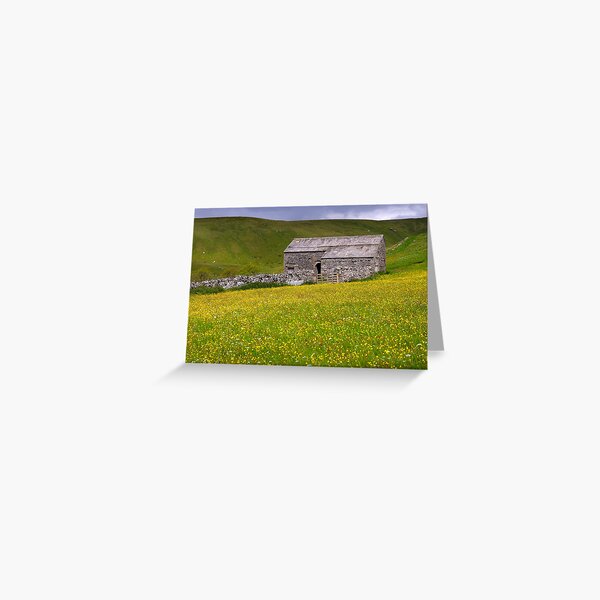 Summer meadow - The Yorkshire Dales Greeting Card