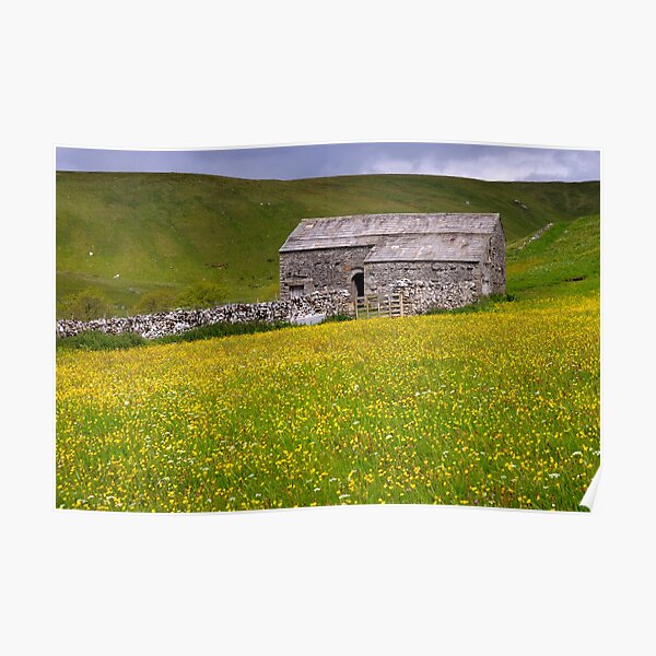 Summer meadow - The Yorkshire Dales Poster