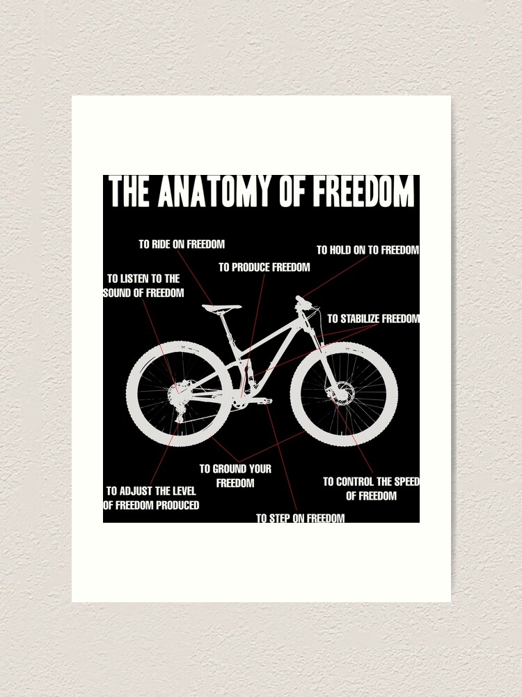 mountain bike freedom