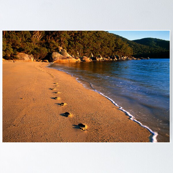 Item preview, Footprints designed and sold by Travis Easton.