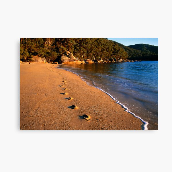 Item preview, Footprints designed and sold by Travis Easton.