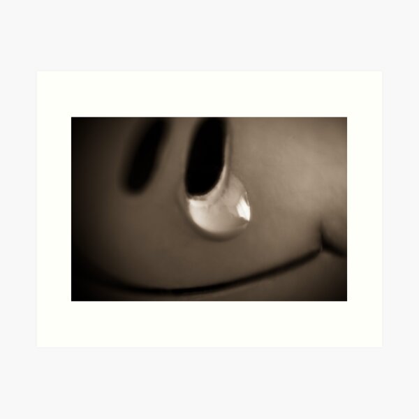 Mr Noisy- crying Art Print