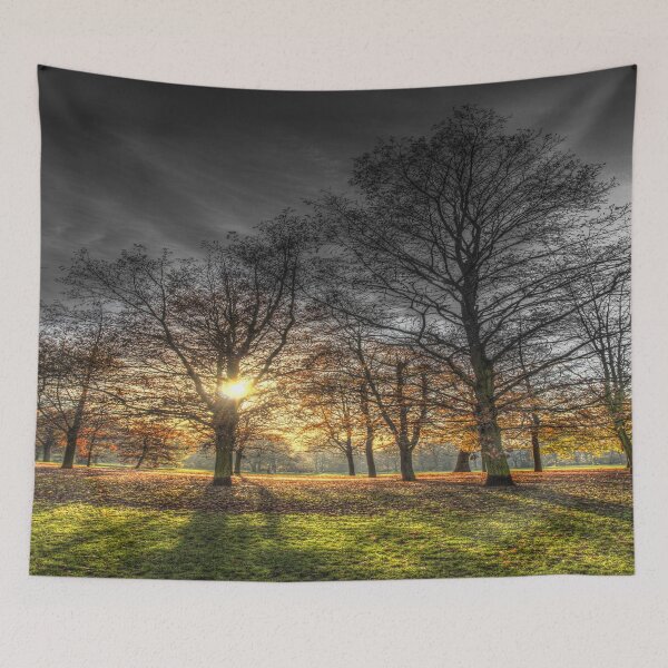 Item preview, Greenwich Park London designed and sold by Londonimages.