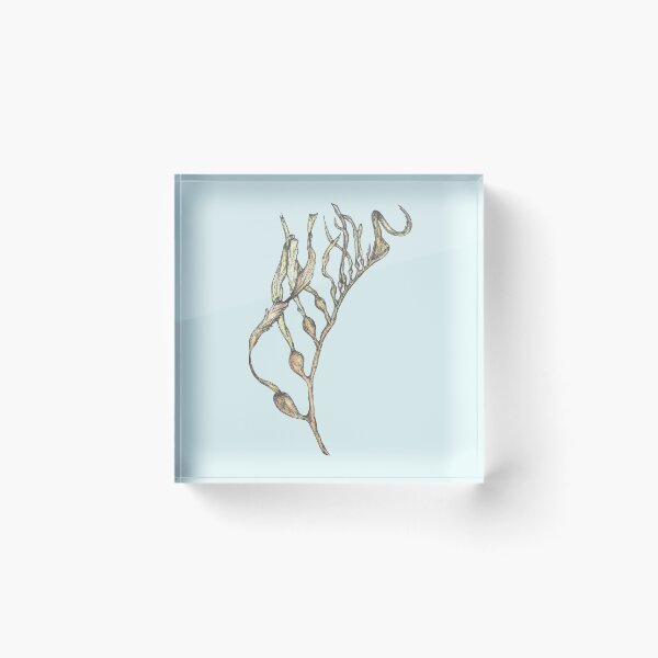 Item preview, Kelp designed and sold by SerenSketches.